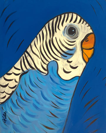 Blue Budgie