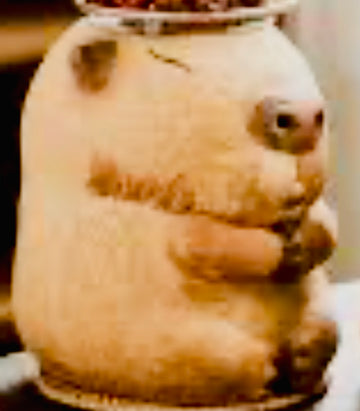 Fri Sept 26 l Capybara Air Dry Clay l Capybara Cafe Series
