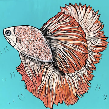 TURQOUISE BACKGROUND KOI