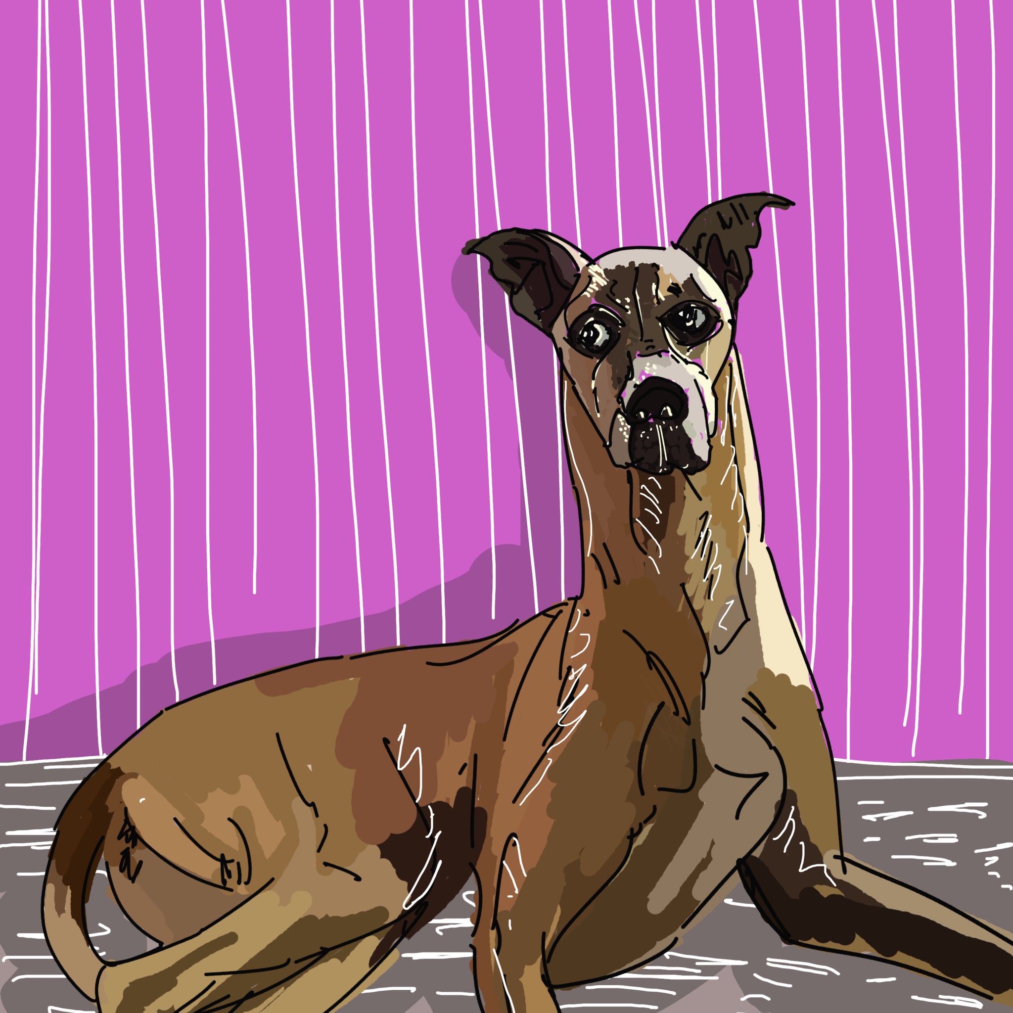 Katie the Artist Sketches