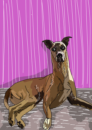 Katie the Artist pet portrait commissions