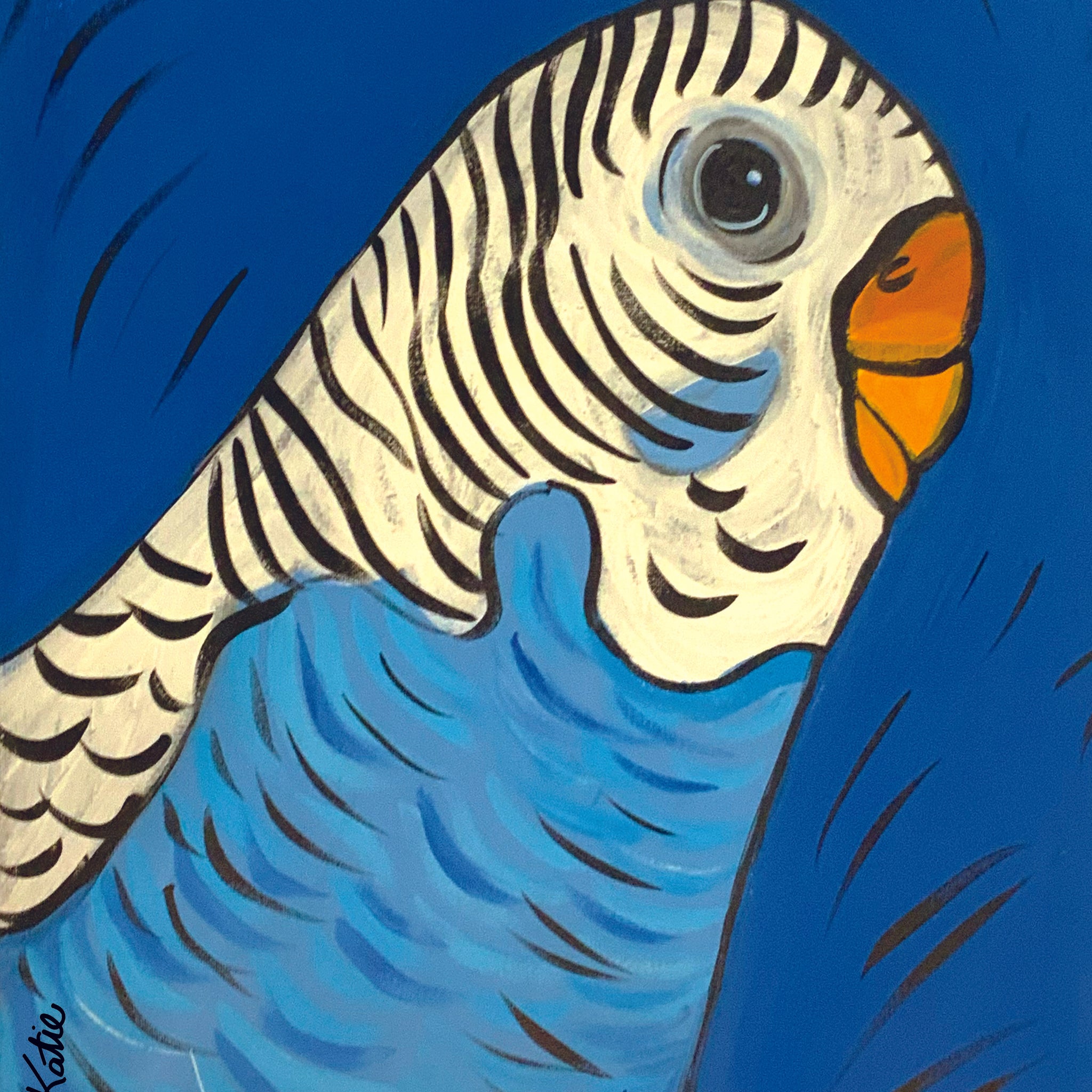 Blue Budgie