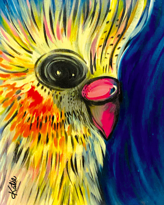 Cockatiel Blue