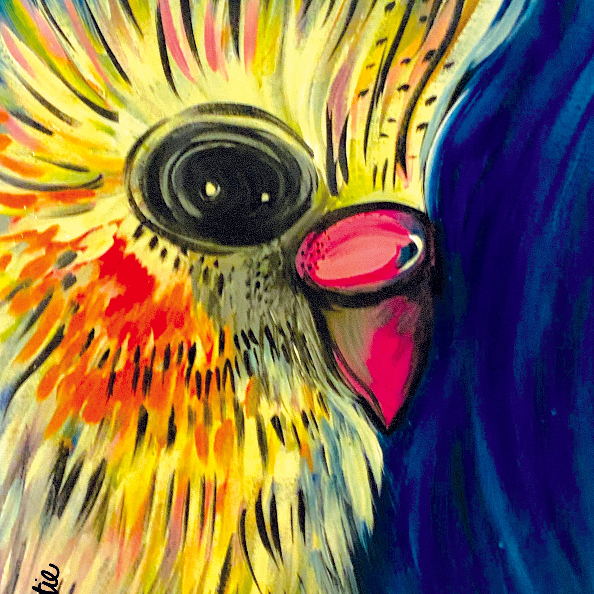 'Cockatiel Blue' Paper Print