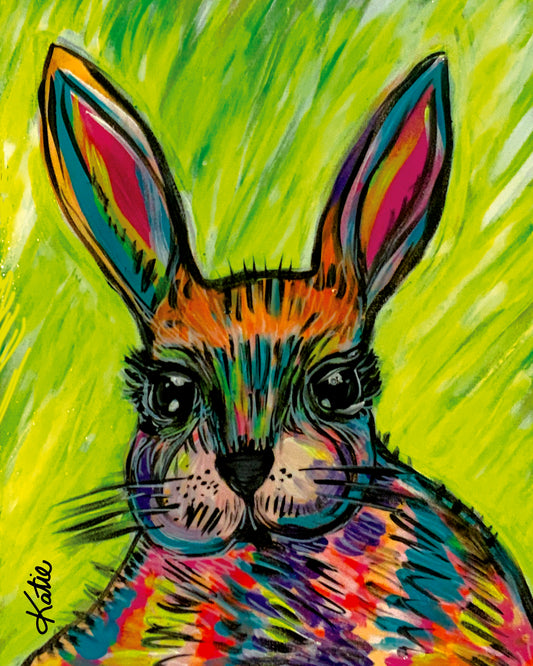 Coloured Bunny