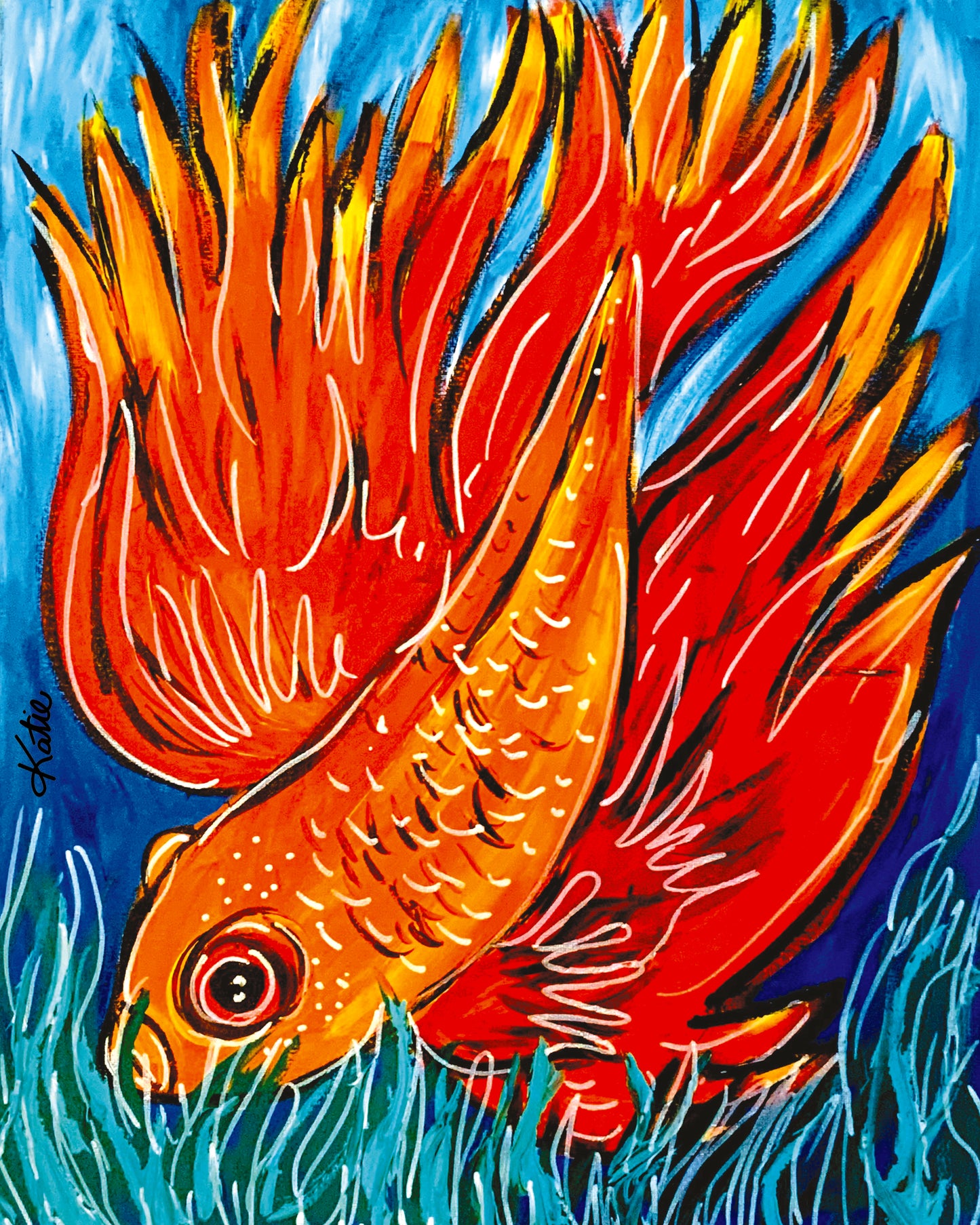 Fighting Fish Orange