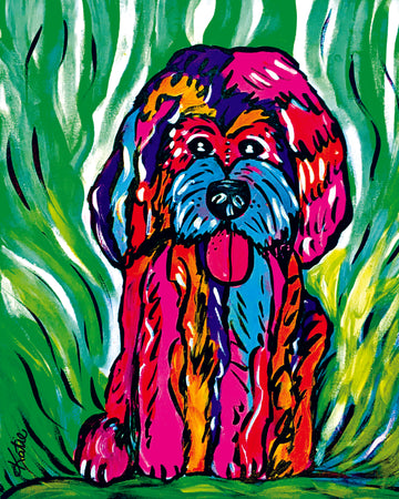 Not All Dogs Are Pink
