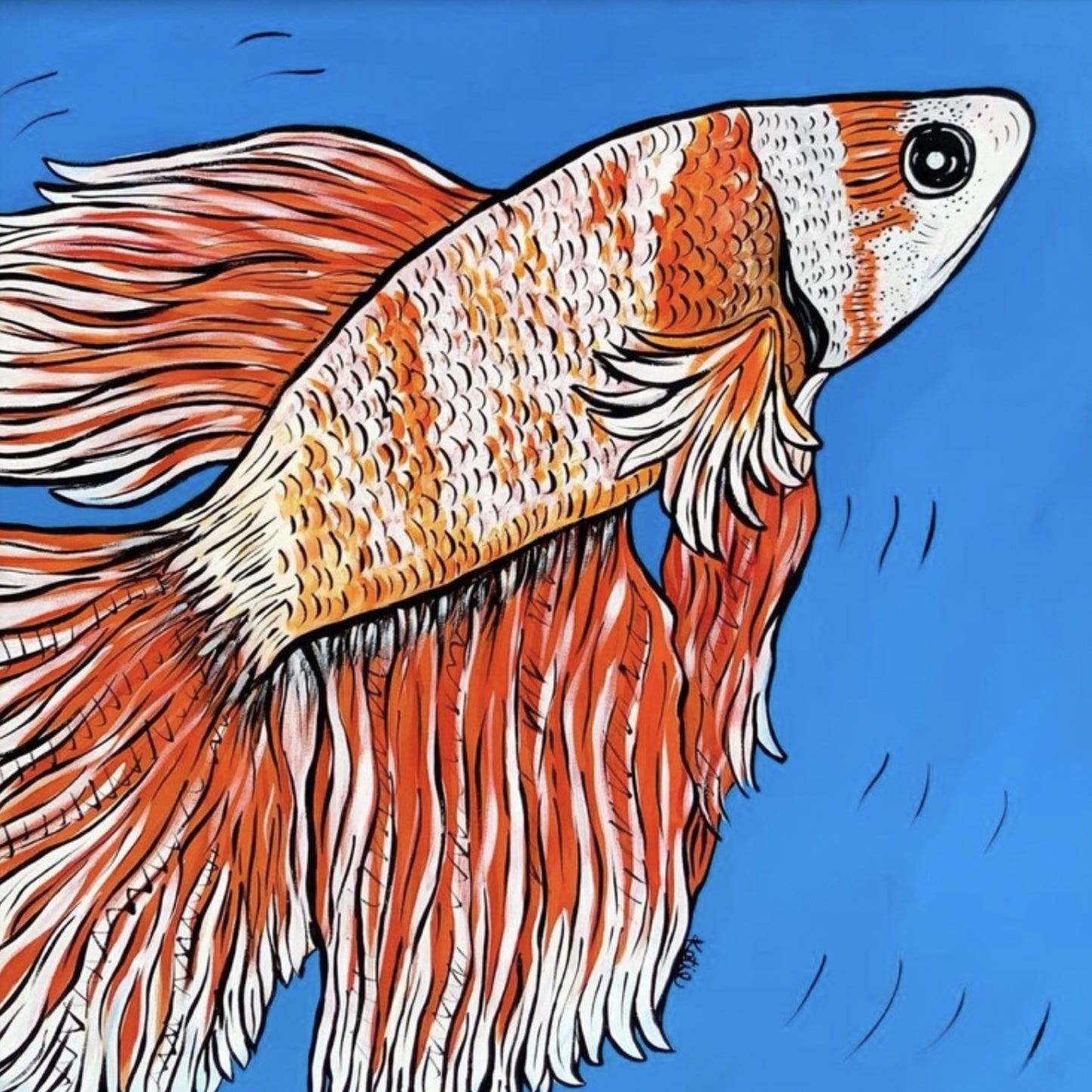 ORANGE & WHITE KOI