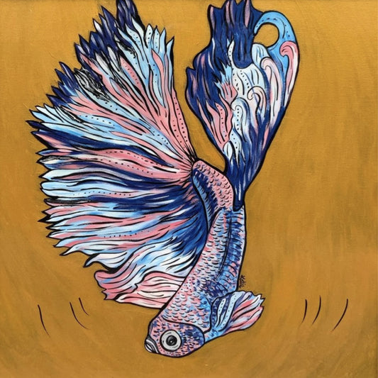 PINK & GOLD FIGHTING FISH