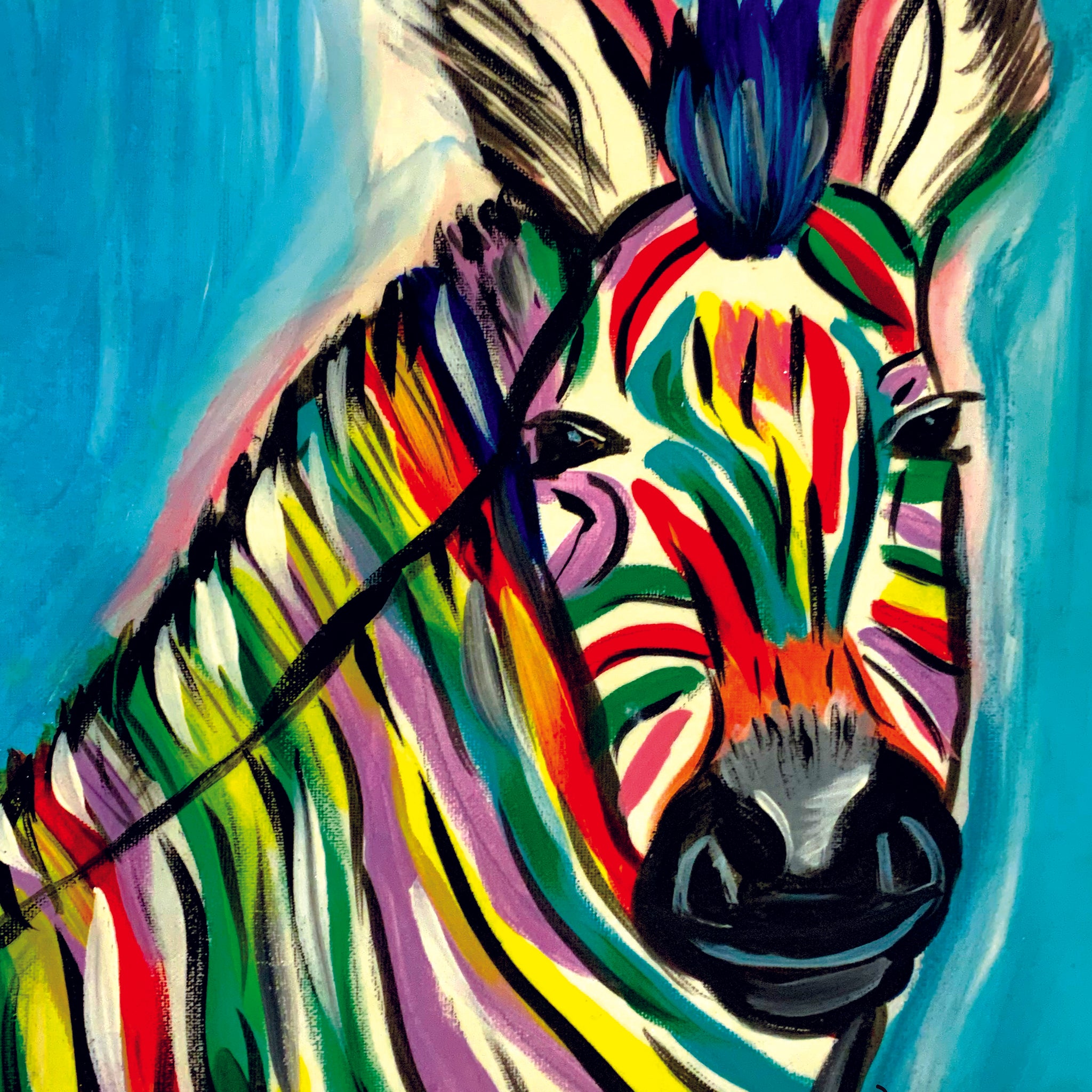 'Zebra Stripe' Paper Print